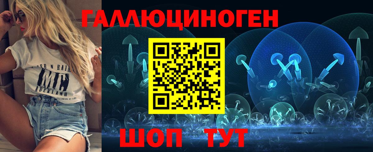 Псилоцибиновые грибы Psilocybe Кимовск