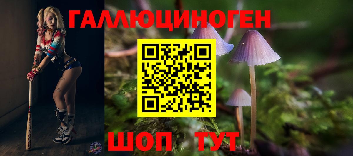 Галлюциногенные грибы мухоморы  Вход с VPN  Кимовск 