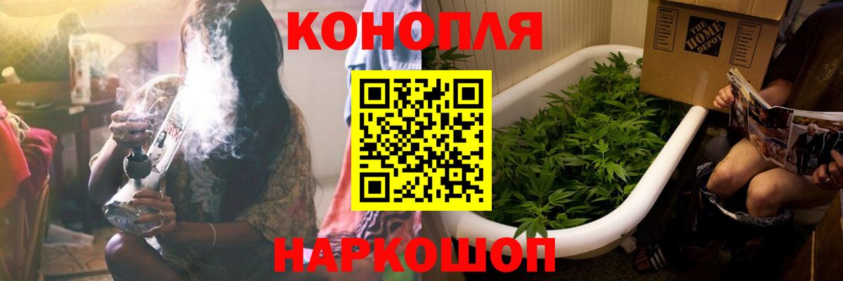 Каннабис гибрид Кимовск